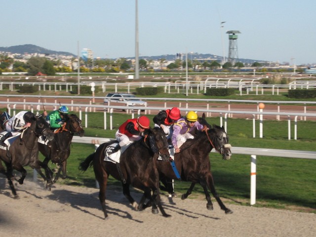 Courses &agrave; Cagnes