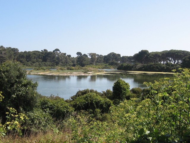 L'ile Sainte Marguerite